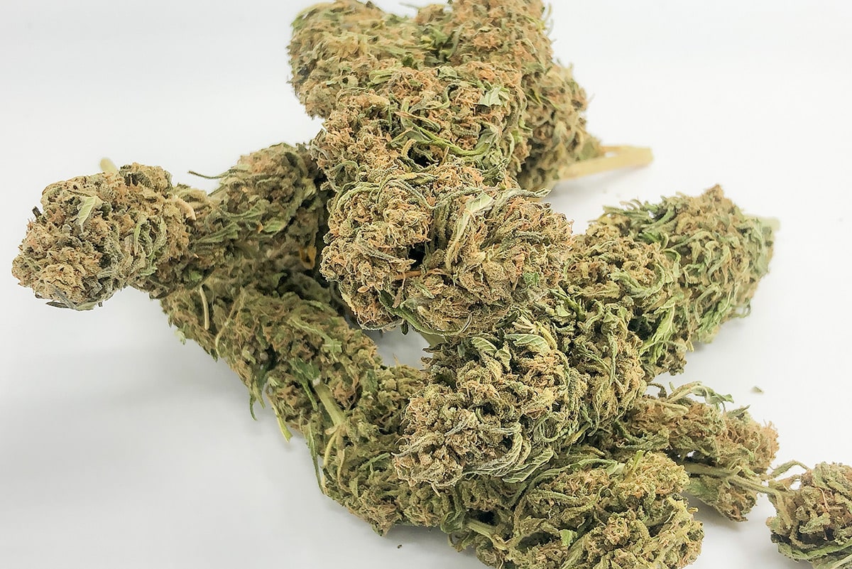 Queen Dream Hemp Flower