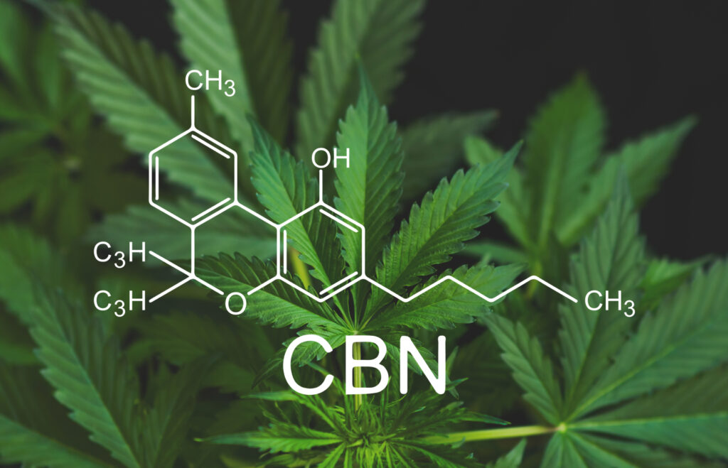 CBN vs. CBD: How Do They Compare?