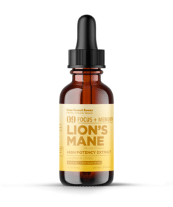 Lions Mane Tincture