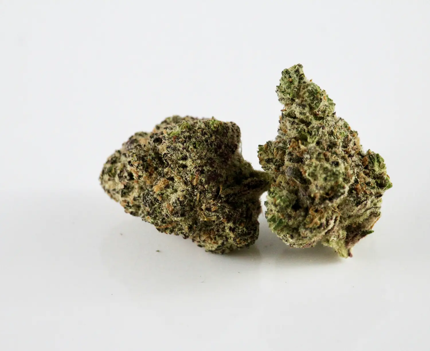 Three Bears OG Hemp Seed - Image 2